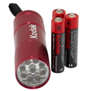 KODAK LANTERNA 9 LED ROSIE 30412460